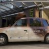 Baxter the Loden cab